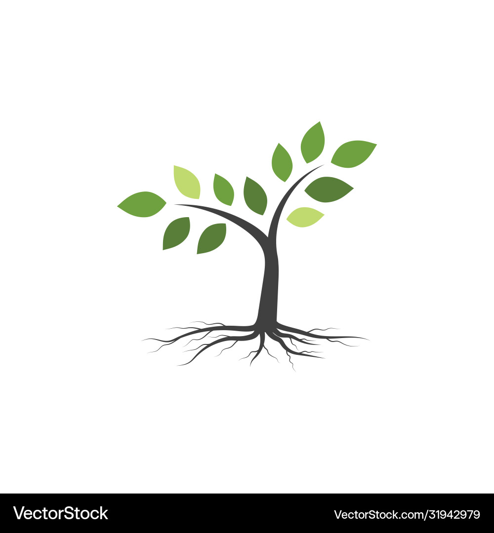 Tree branch design Tree branch design vector image