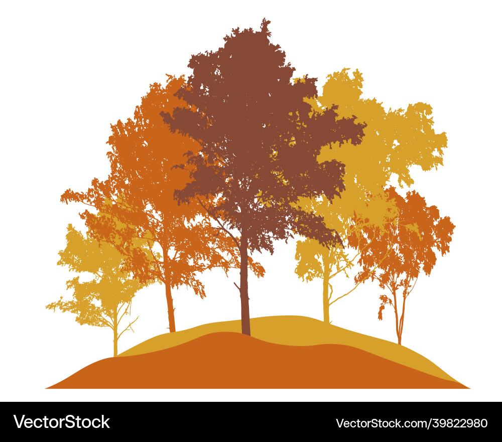 Autumn landscape beautiful trees birch color Autumn landscape beautiful trees birch color vector image
