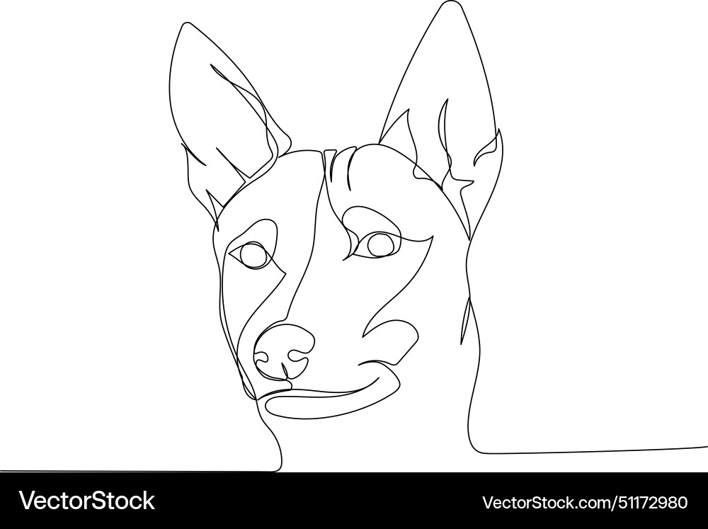 Basenji zande dog bongo terrier hunting one Vector Image