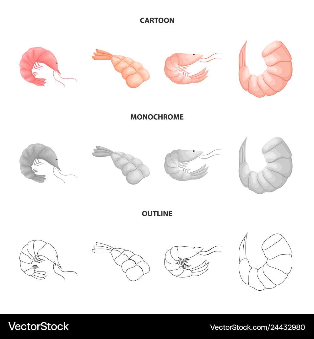 Isolated object of appetizer and ocean icon Vector Image