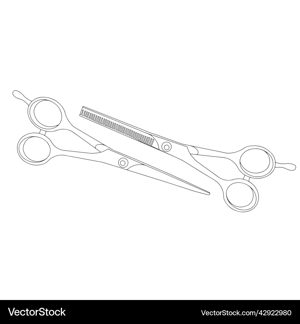 Scissors drawing the is linear Vector Image