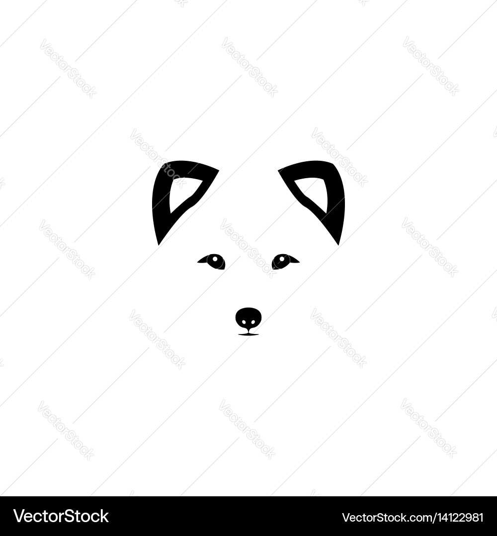 Arctic fox head on white background Vector Image