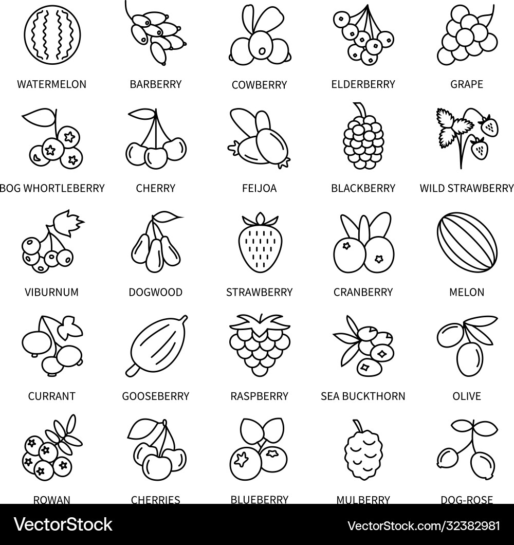 Berries linear icons set isolated Berries linear icons set isolated vector image