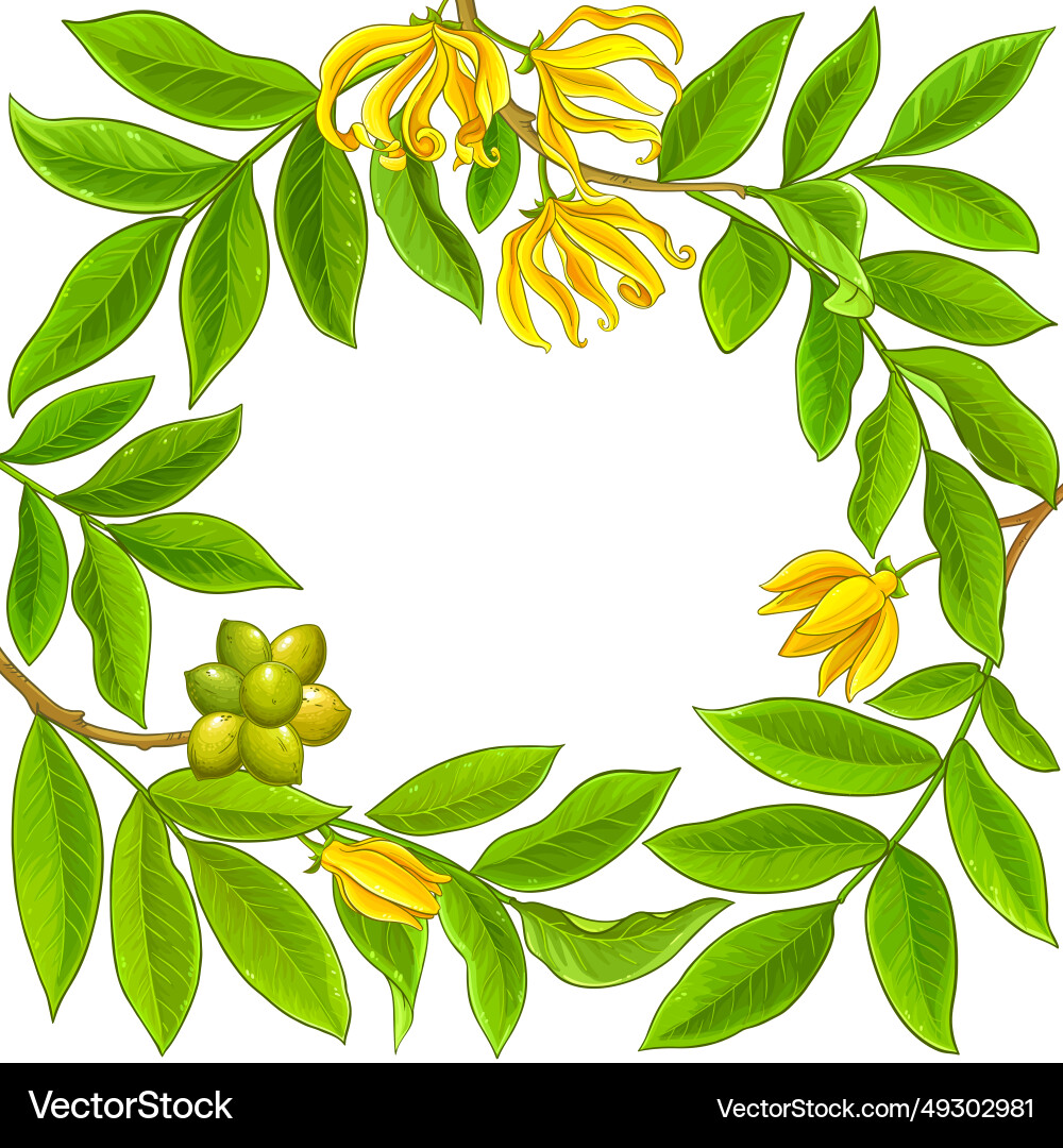 Ylang circle frame Ylang circle frame vector image