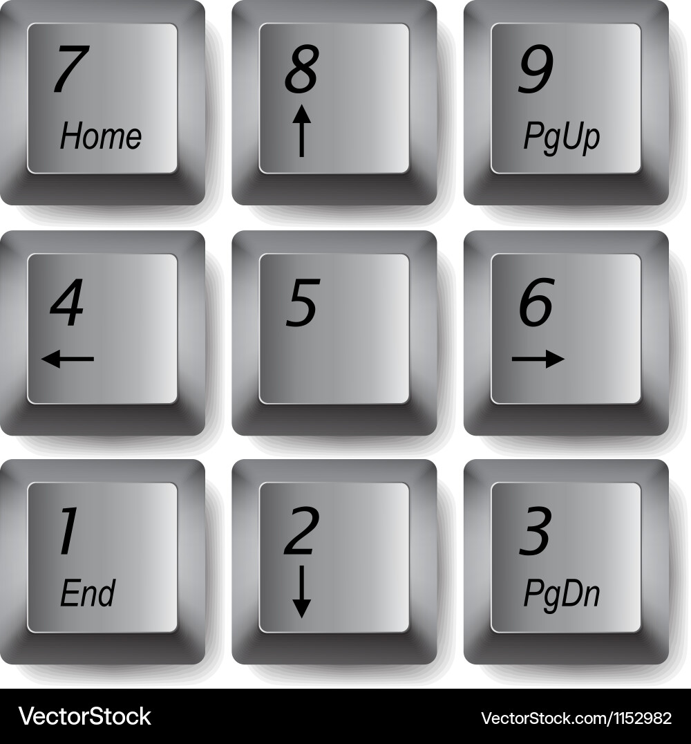 Close-up of Keyboard Keys vector image