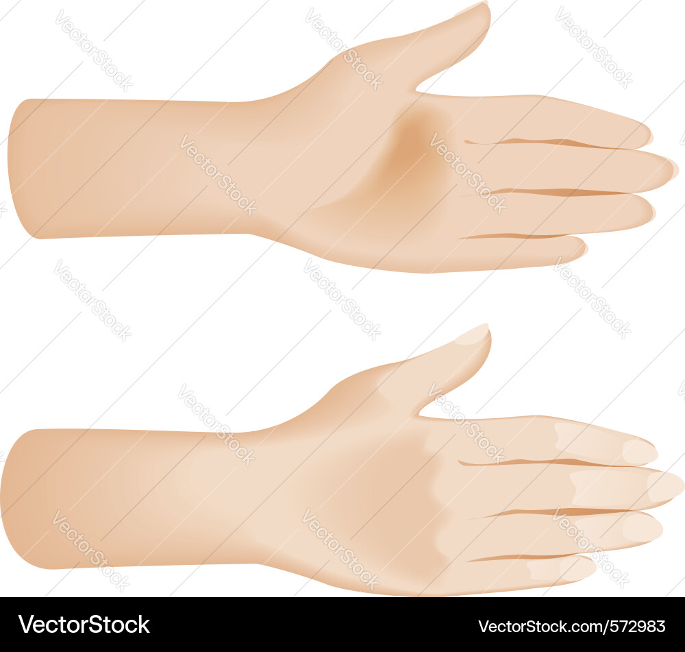 Open Hands Gesture Vector Image
