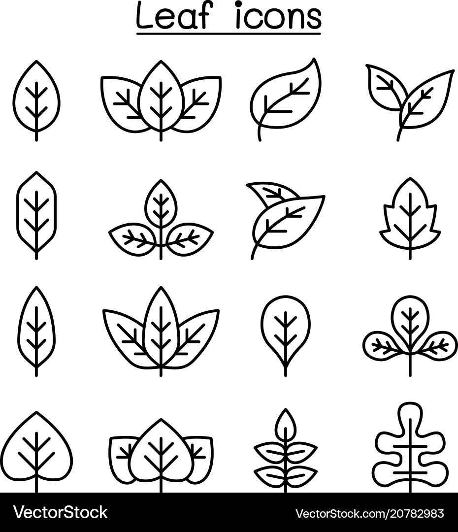 Thin Line Leaf Icon Set vector image