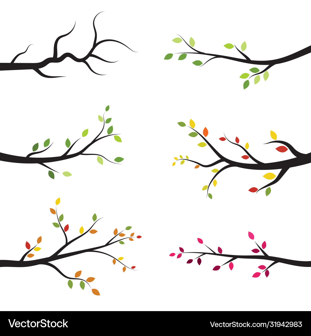 Tree branch design Tree branch design vector image