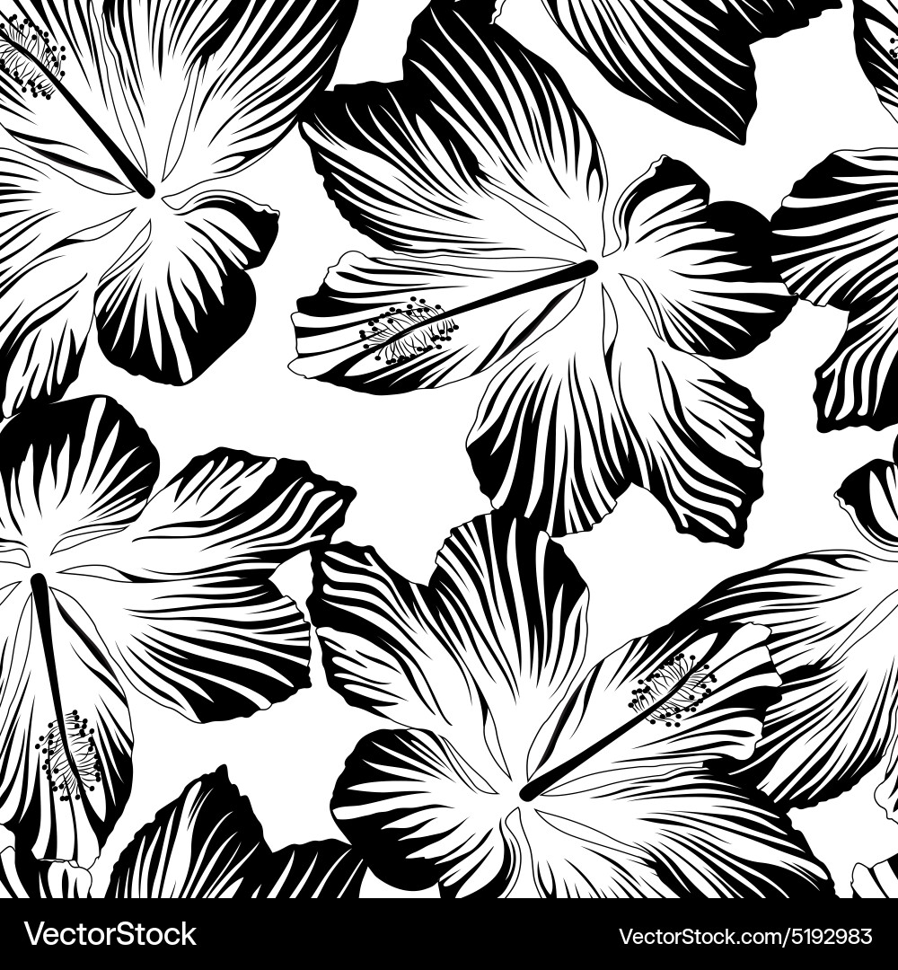 Tropical Flower Pattern - Black & White vector image