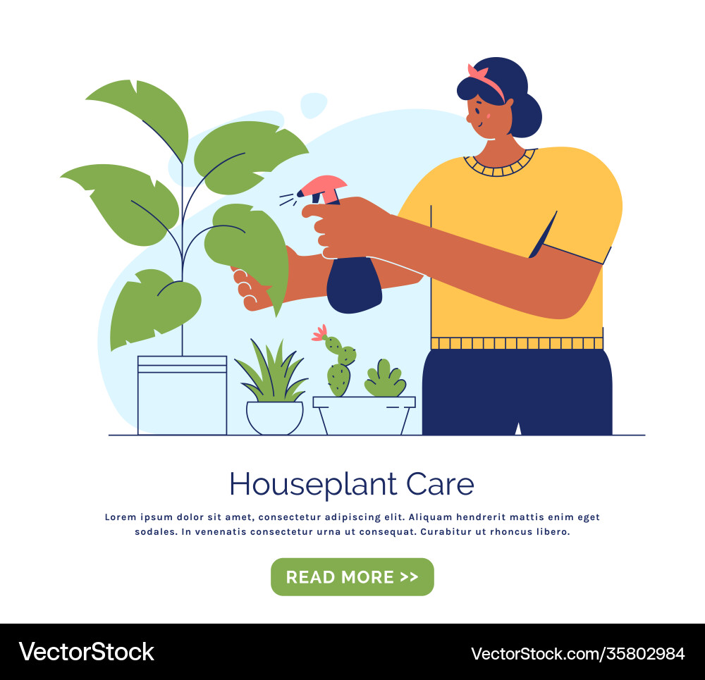 Houseplant care woman cultivate indoor plants Houseplant care woman cultivate indoor plants vector image