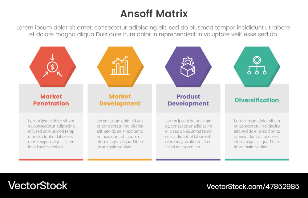 Ansoff matrix framework growth initiatives Vector Image