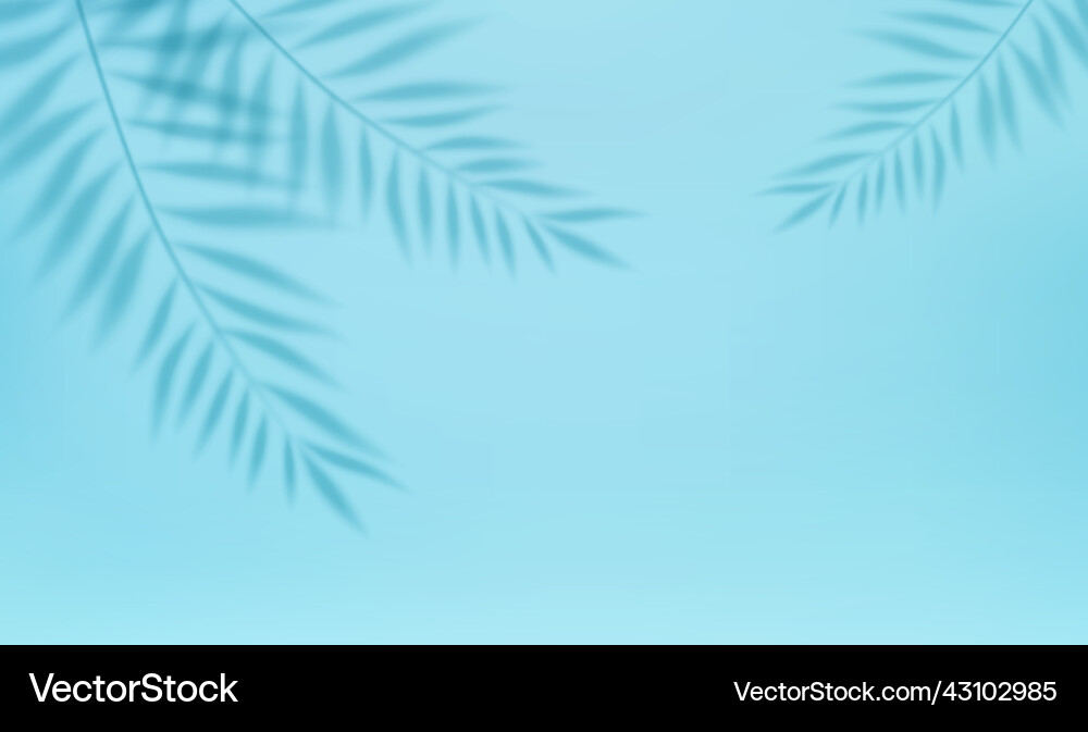 Empty studio abstract background Empty studio abstract background vector image