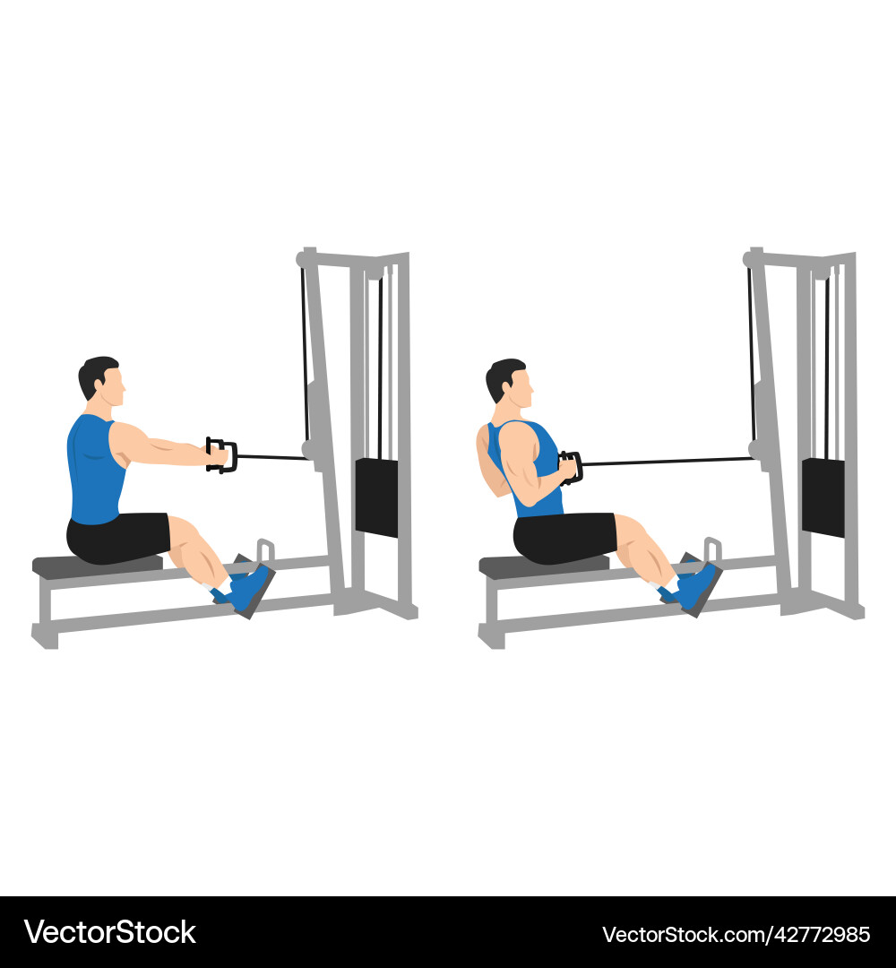 Man doing seated low cable back rows exercise Man doing seated low cable back rows exercise vector image