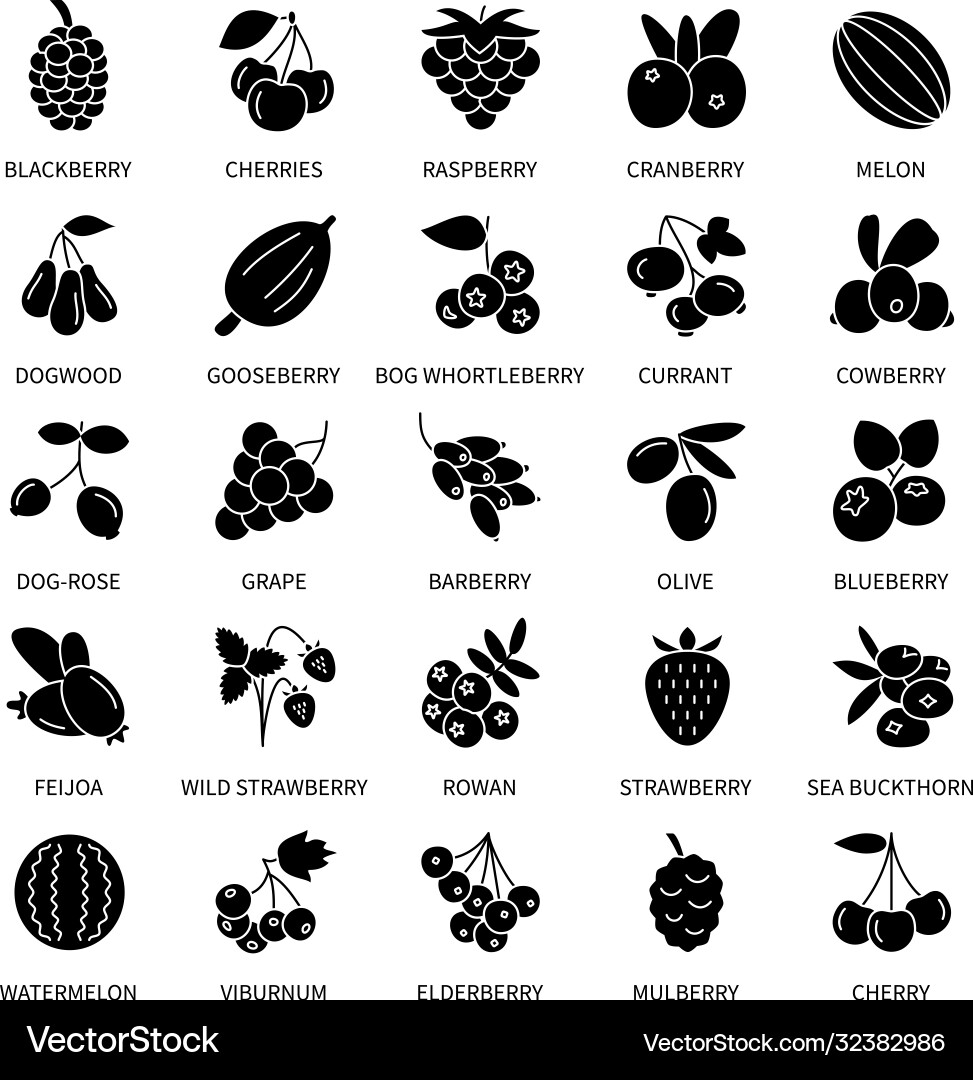 Berries silhouette icons set business Berries silhouette icons set business vector image