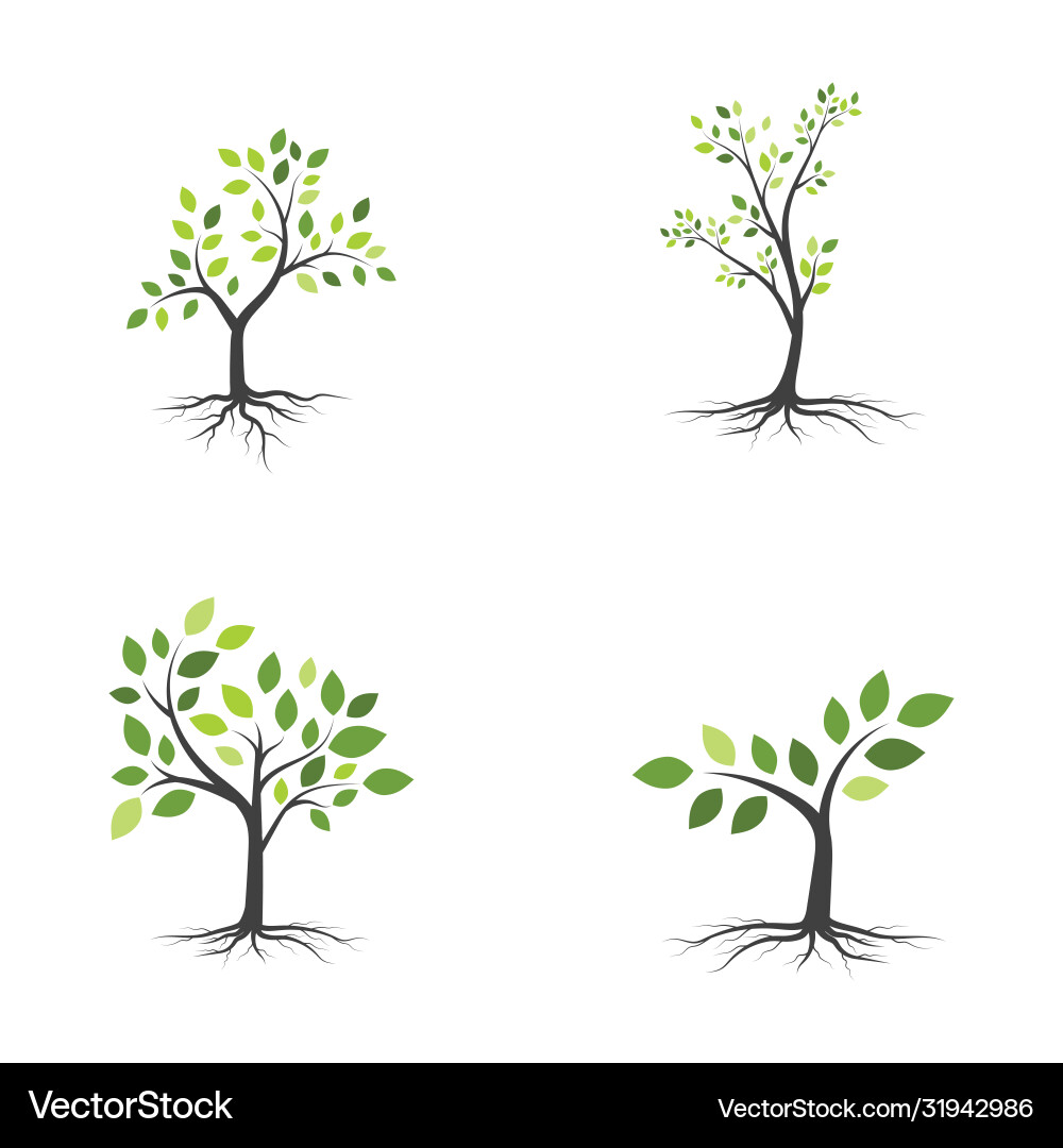 Tree branch design Tree branch design vector image