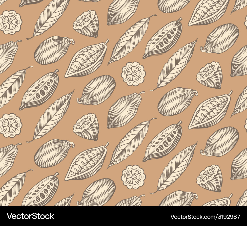 Cocoa Leaf Pattern vector image