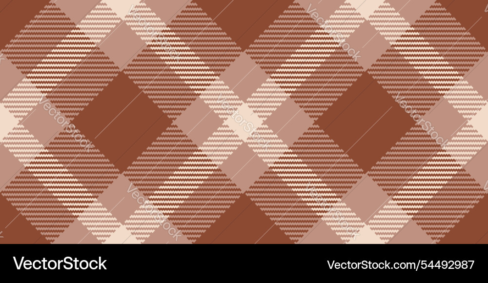 Light texture pattern check string fabric tartan vector image