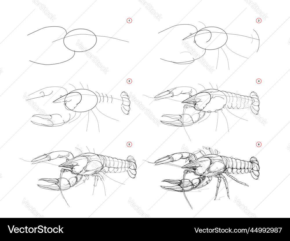 Page shows how to learn draw sketch Page shows how to learn draw sketch vector image