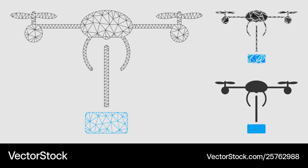 Copter shipment mesh network model Copter shipment mesh network model vector image