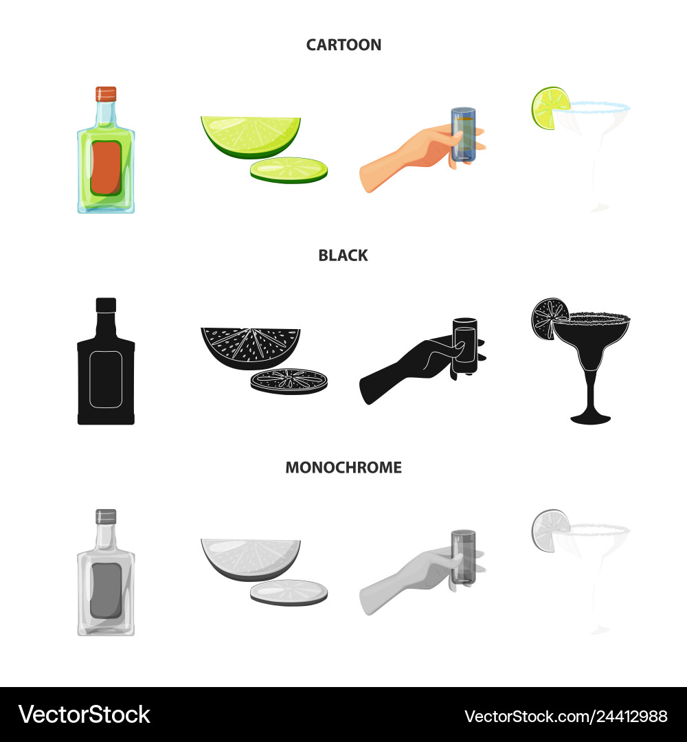 Isolated object of cafe and latin icon set Isolated object of cafe and latin icon set vector image
