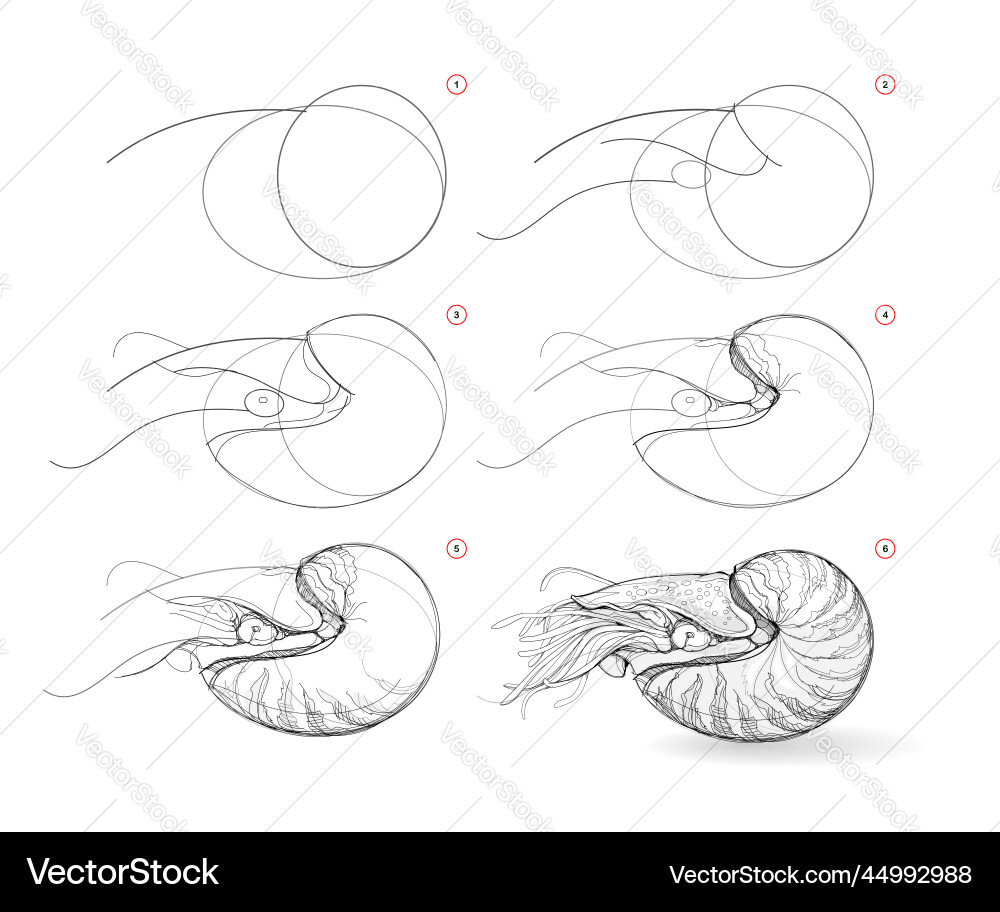 Page shows how to learn draw sketch Page shows how to learn draw sketch vector image