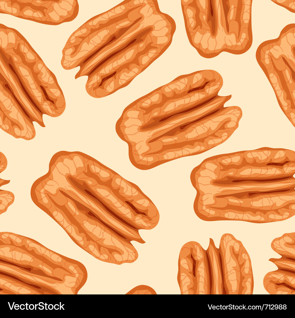 Pecan Nut Background Vector Image