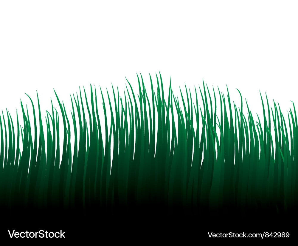 Green Background Vector Image