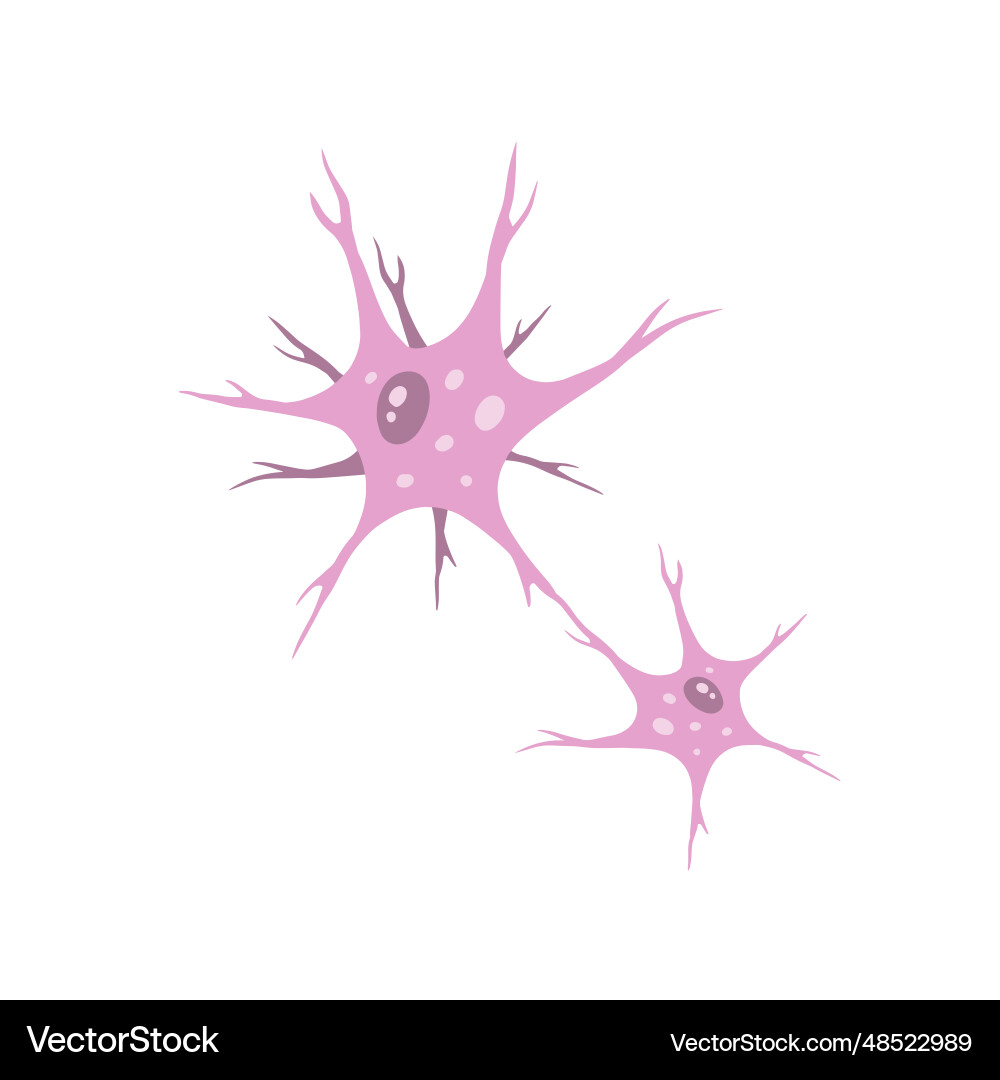 Neuron cell brain activity and dendrites vector image