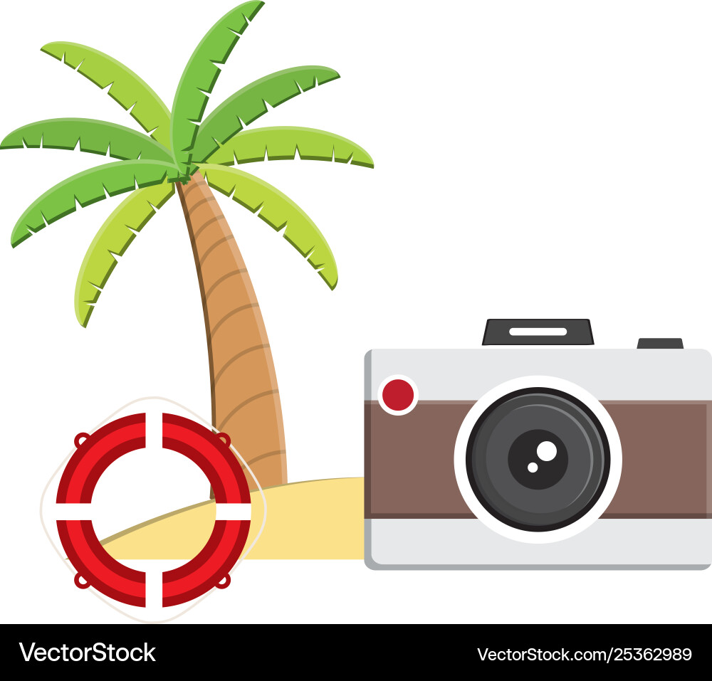Trees palms beach scene with camera and float Vector Image