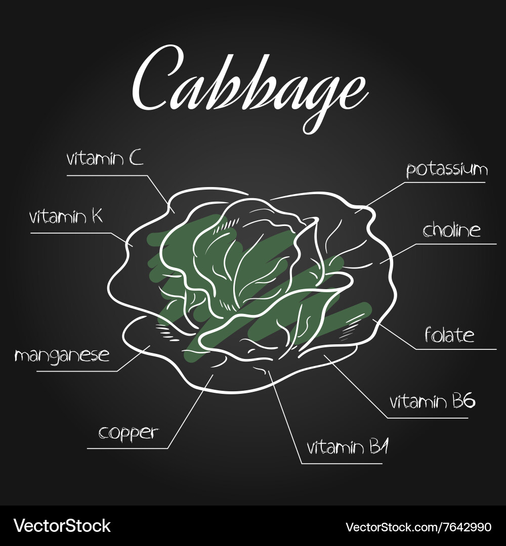 Nutrients list for cabbage on chalkboard backdrop vector image