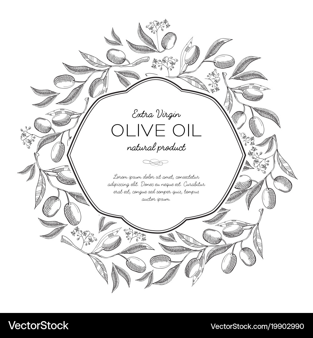 Olive Oil Wreath Sketch Vector Image