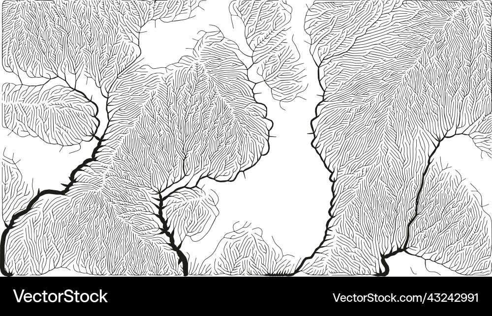 Growth pattern generative branching structure vector image