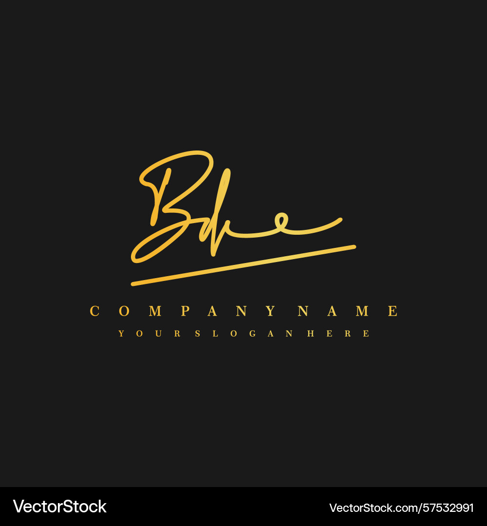 Signature style bd initial logos initials logo Vector Image