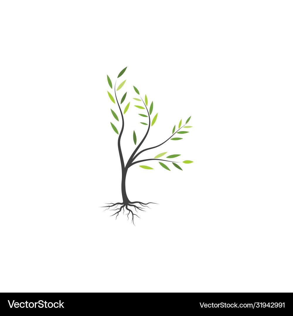 Tree branch design Tree branch design Vector Image
