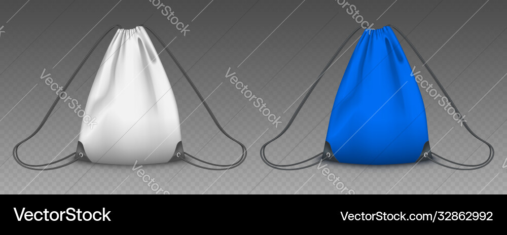 Backpack bag with drawstrings Backpack bag with drawstrings vector image