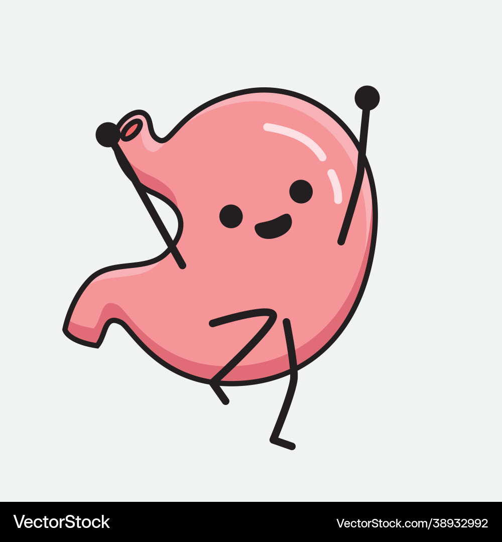 Stomach character with cute face and simple body Stomach character with cute face and simple body vector image