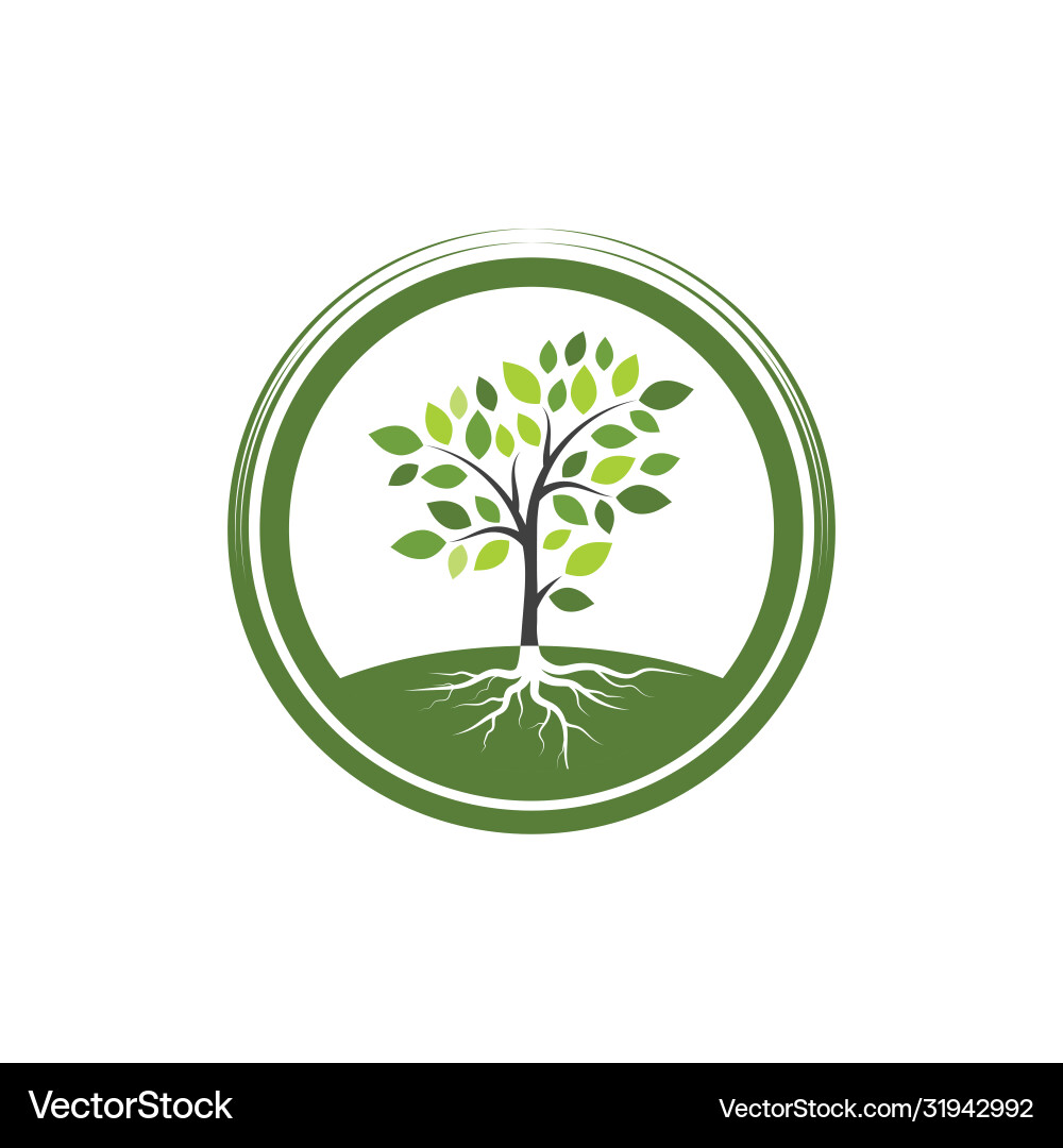 Tree branch design Tree branch design vector image