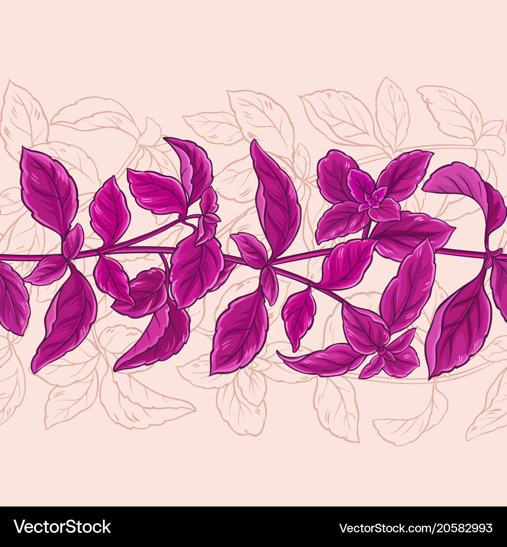 Basil Leaf Pattern Vector Image