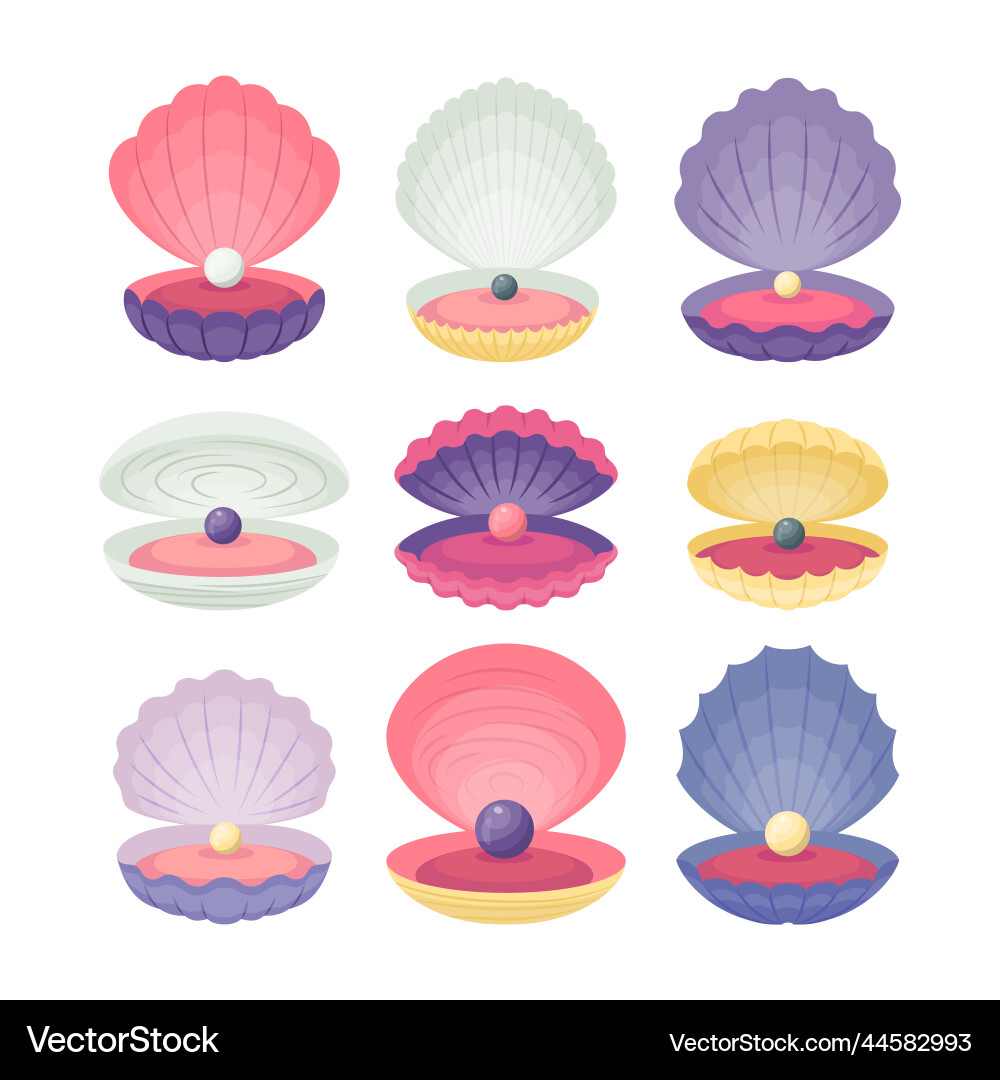 Cartoon color different pearls seashell open view Cartoon color different pearls seashell open view vector image