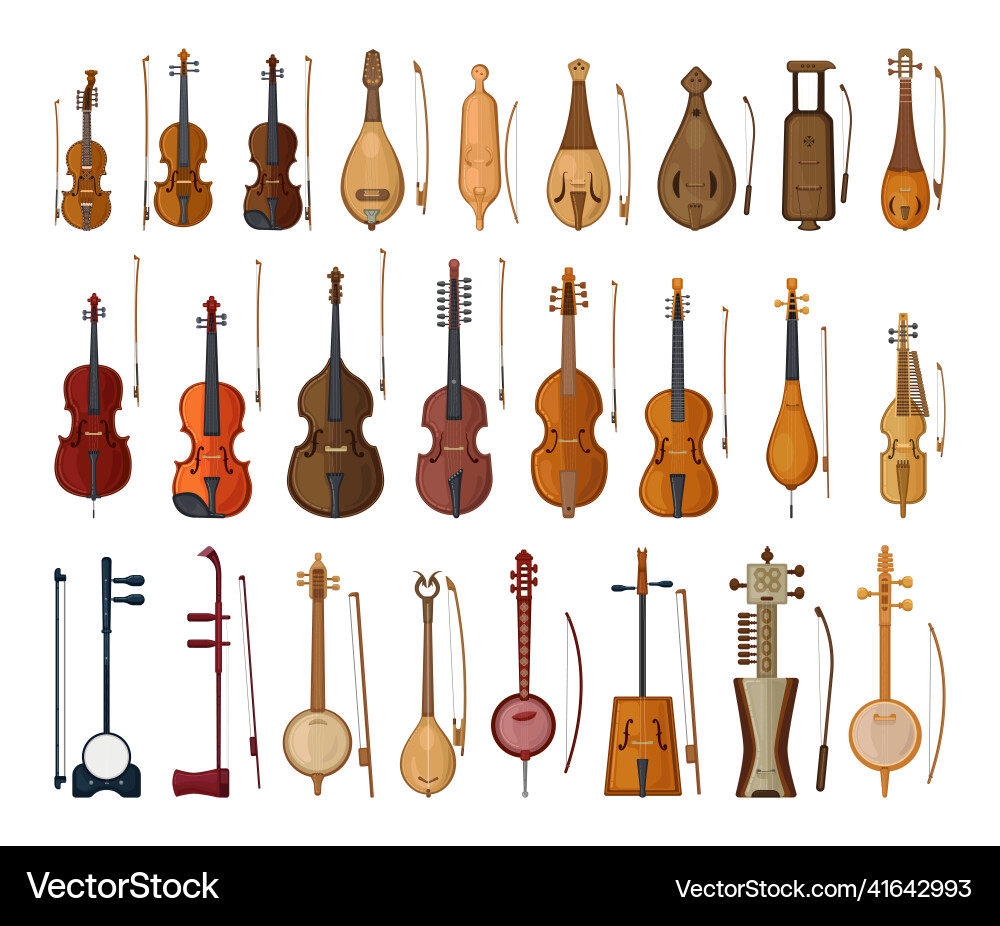 Collection of Bowed String Instruments vector image
