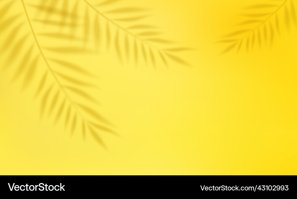 Empty studio abstract background Empty studio abstract background vector image
