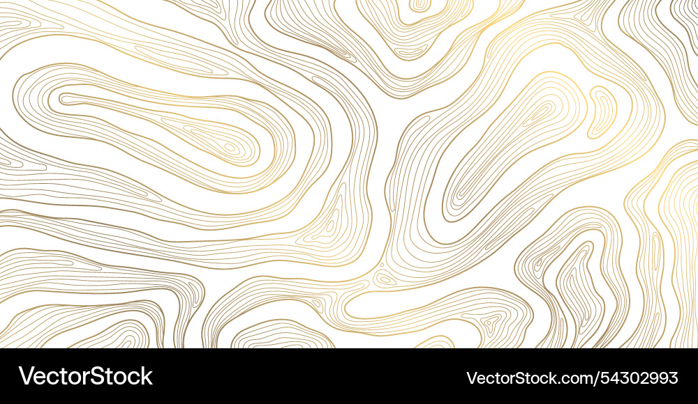 Linie wavy Muster Topographie Linie wavy Muster Topographie vektorbild