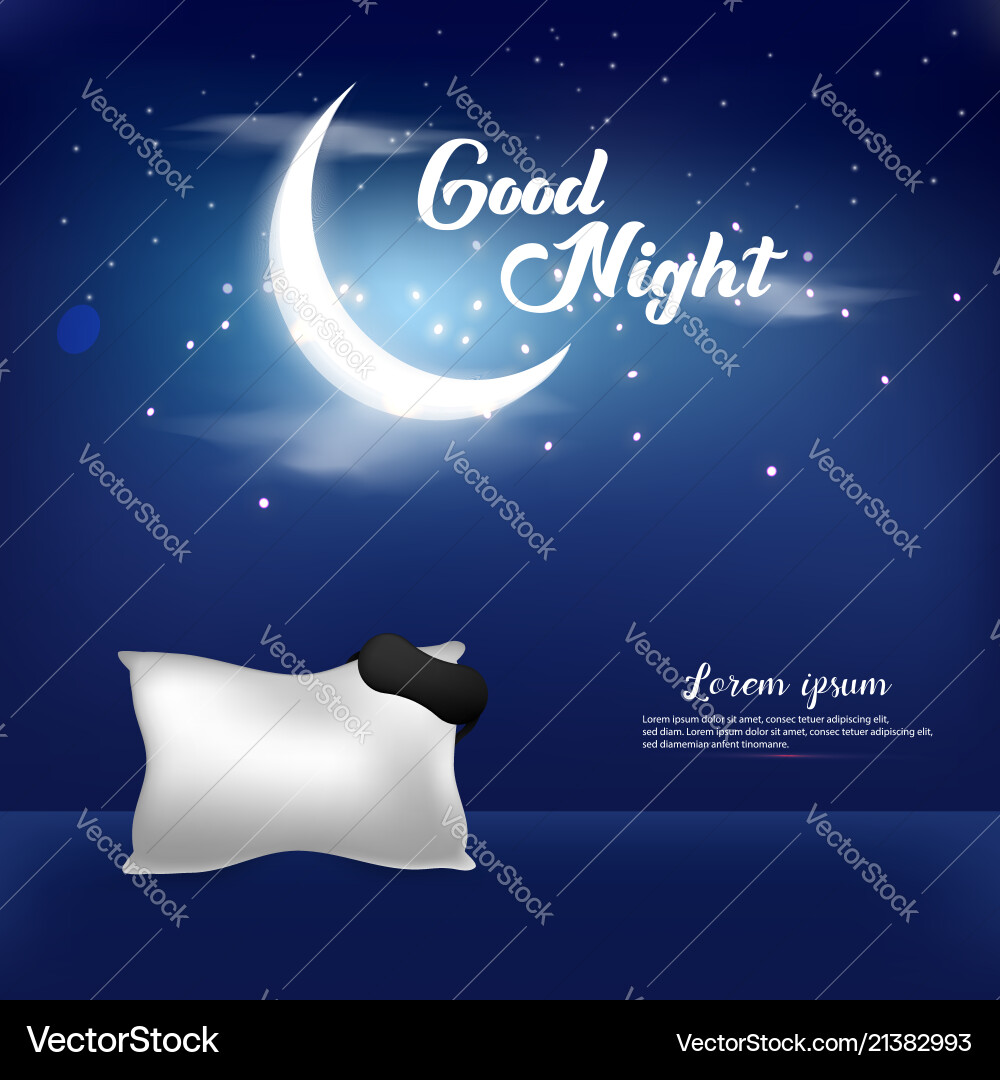 Serene Night Background Vector Image