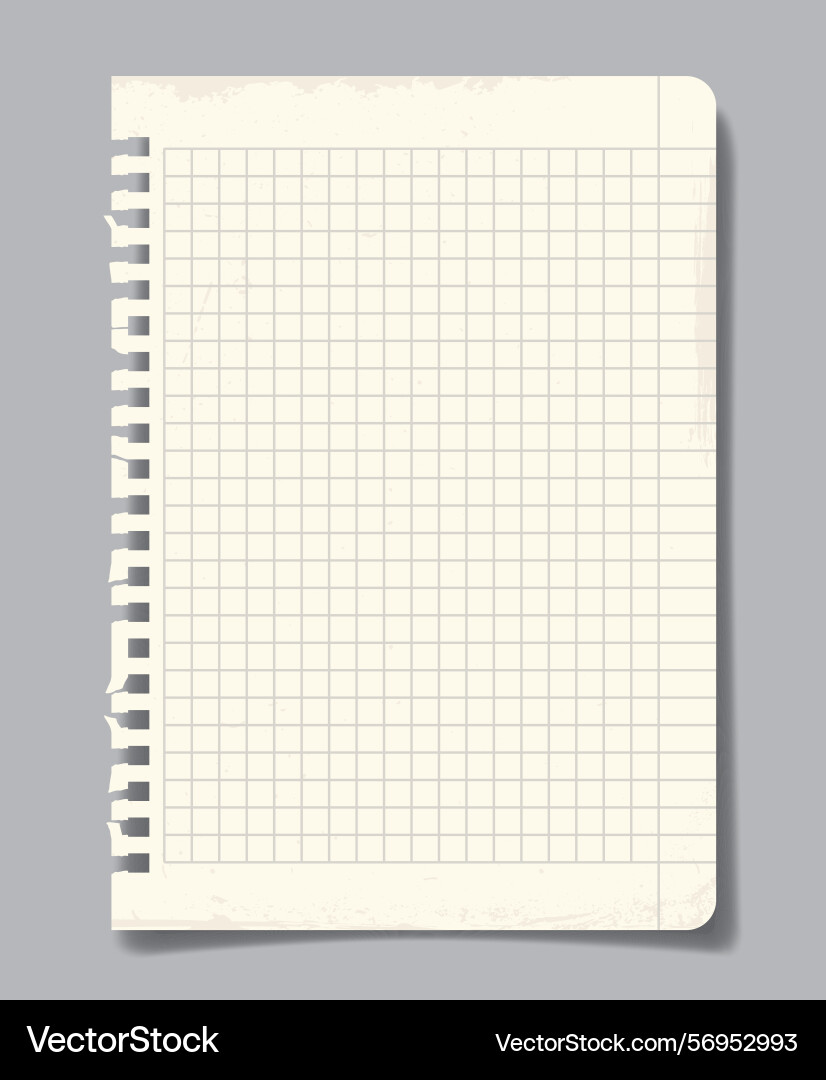 Torn squared notebook page on grey background vector image