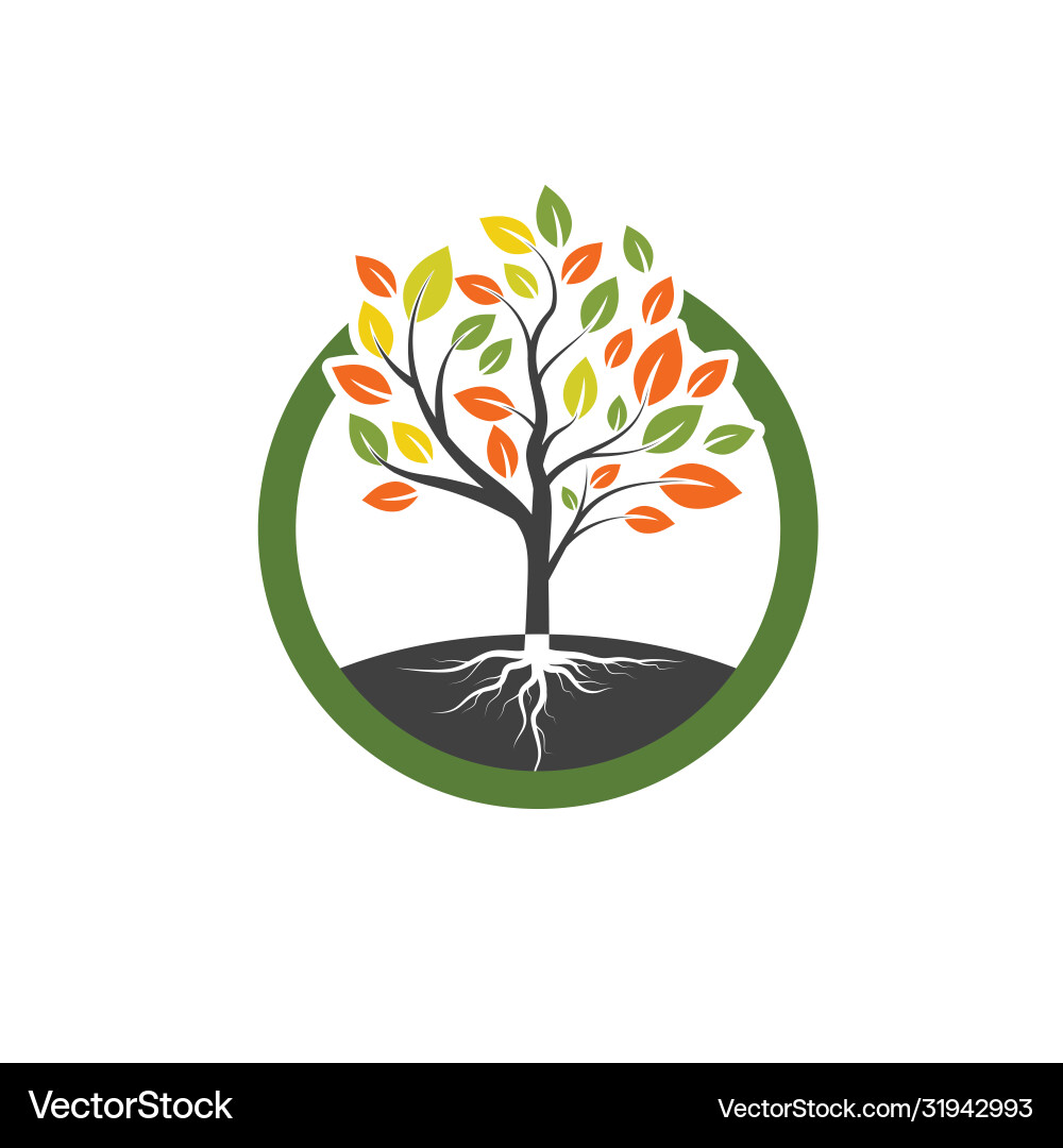Tree branch design Tree branch design vector image