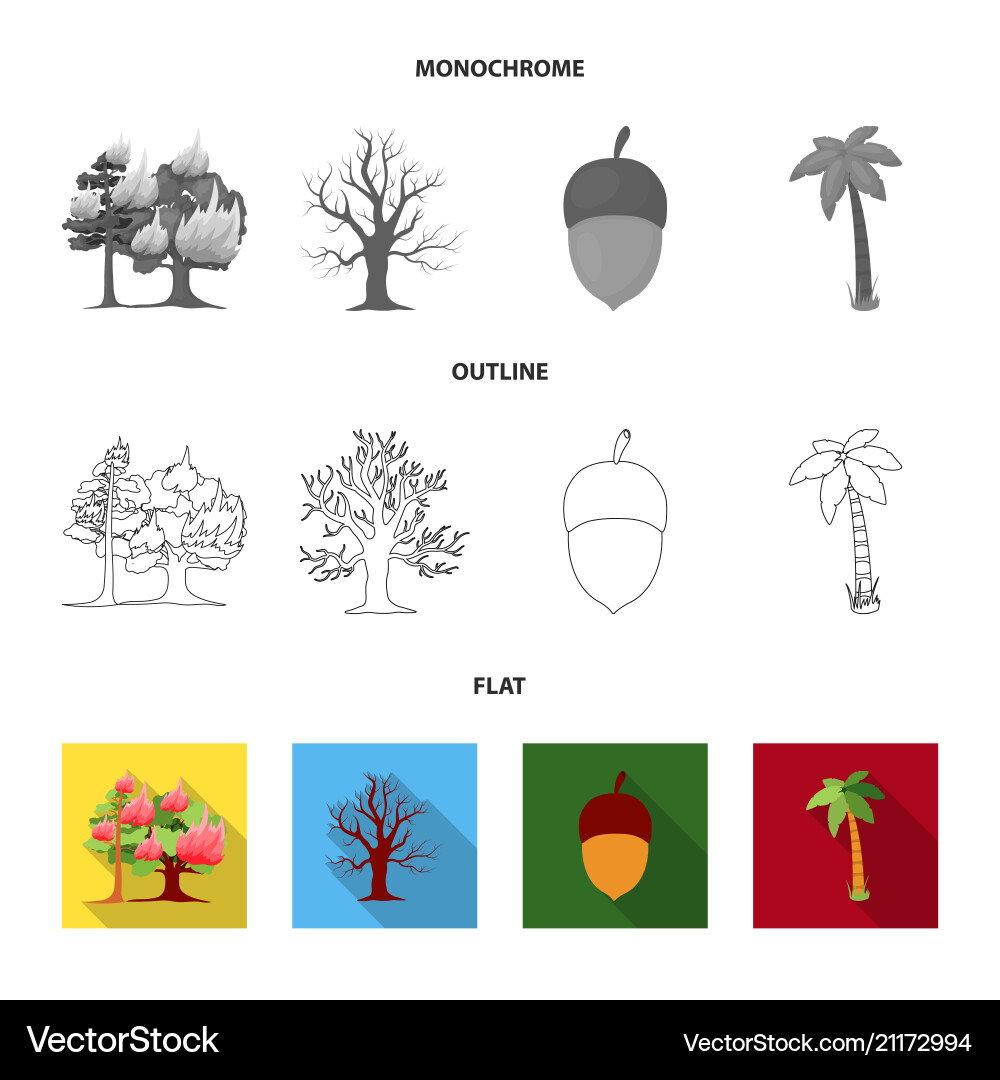 Burning tree palm acorn dry treeforest set vector image