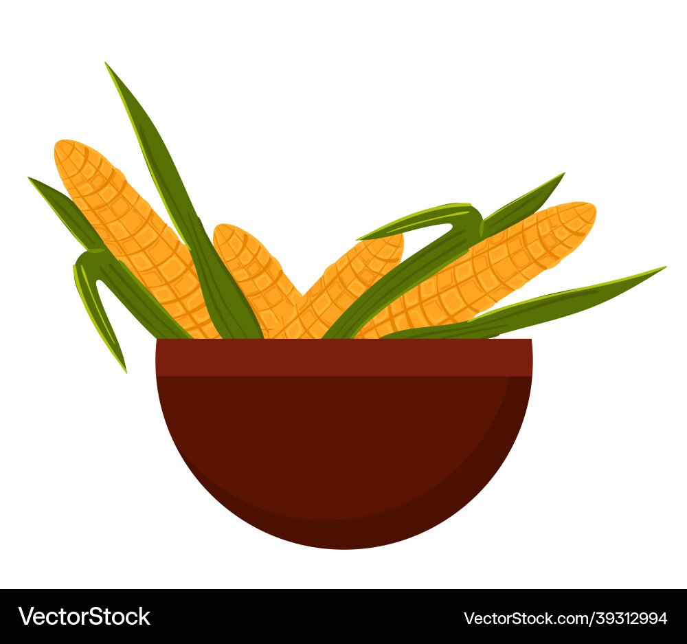 Cartoon ripe corn cobs in a bowl Cartoon ripe corn cobs in a bowl vector image