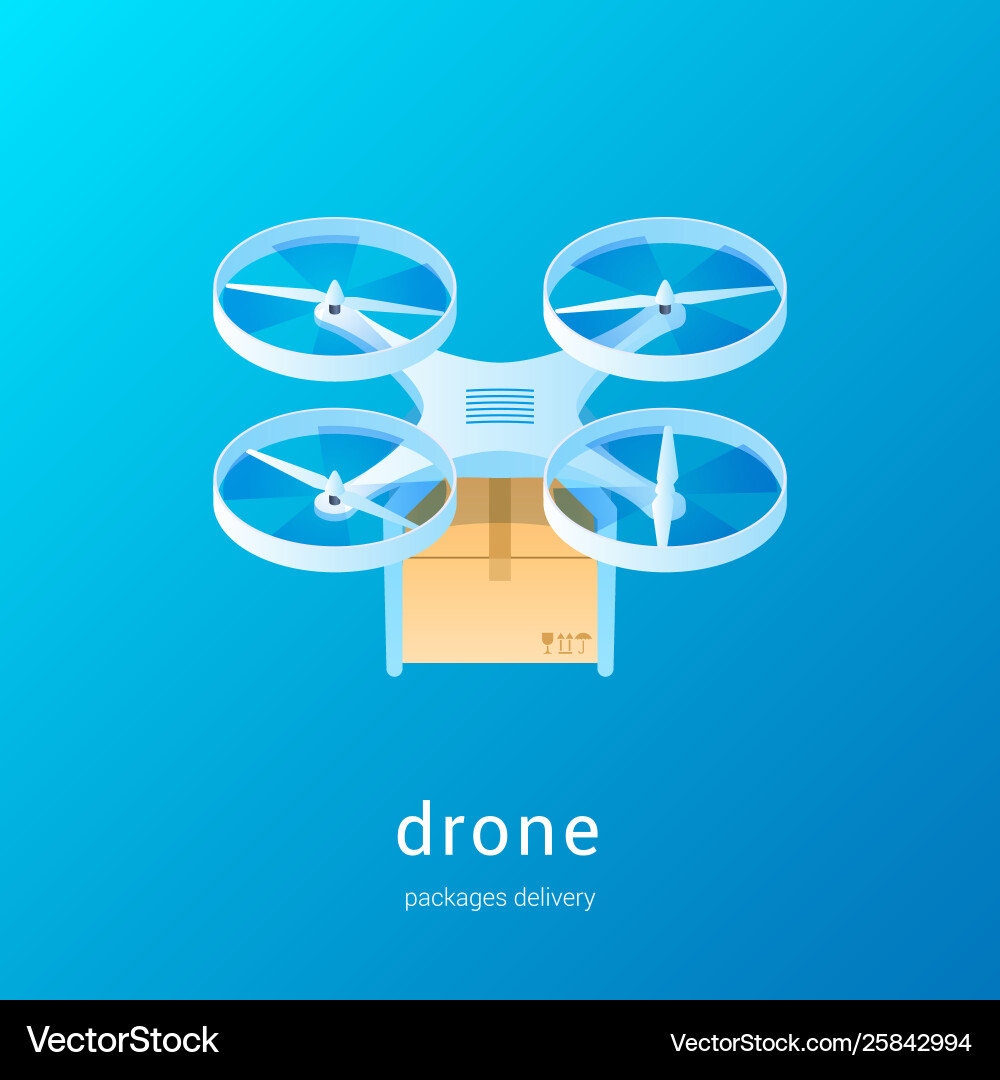 Quadcopter with package concept01 Quadcopter with package concept01 vector image