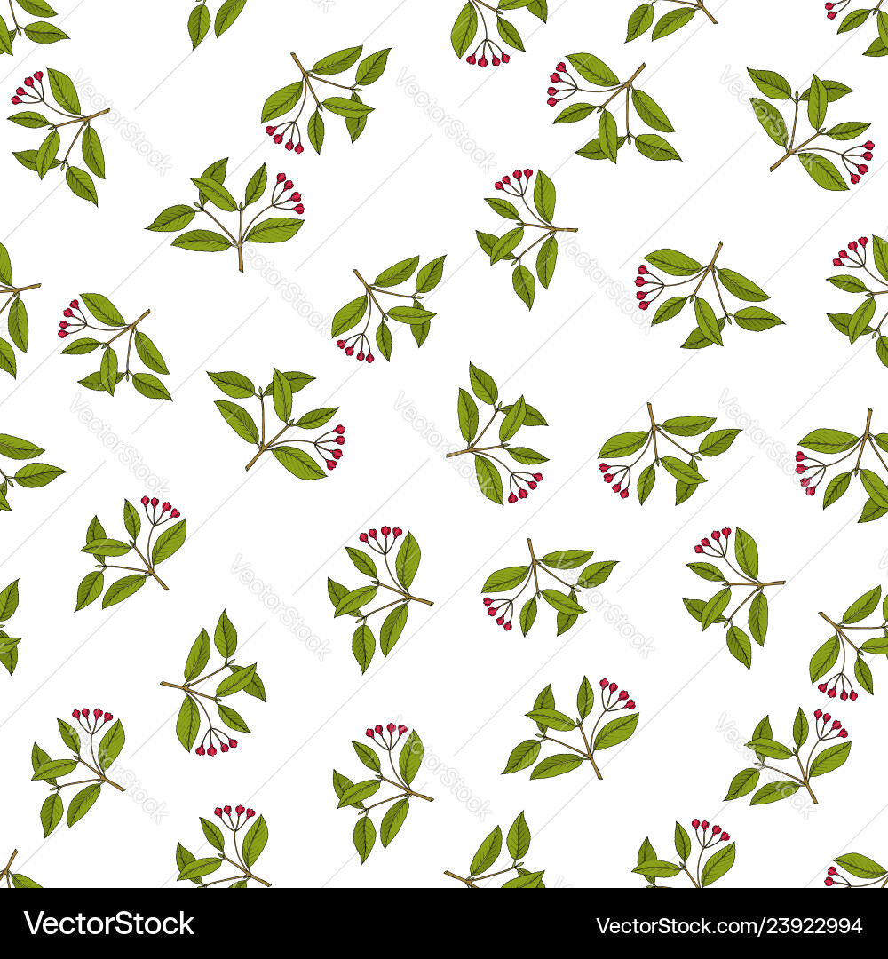 Seamless pattern with spindle tree branches Seamless pattern with spindle tree branches vector image