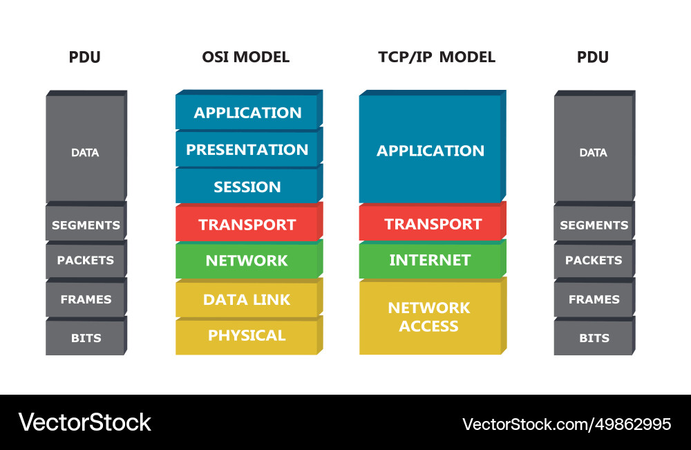 Osi and tcp model Osi and tcp model vector image